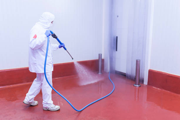 Best Graffiti Removal Services in Welcome, SC